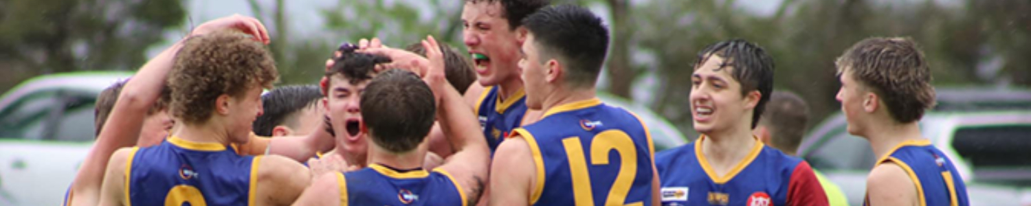 Warragul Banner 1500_300